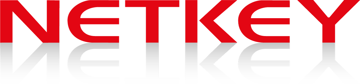 Netkey logotipo